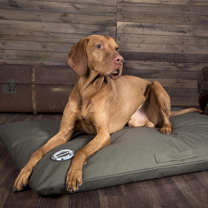 Scruffs® Beds Scruffs® Expedition Memory Foam Orthopaedic Pillow Dog Bed