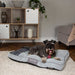 Scruffs® Beds Scruffs® Highland Mattress - Pet Bed