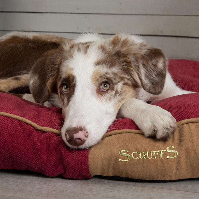 Scruffs® Beds Scruffs® Highland Mattress - Pet Bed