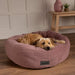 Scruffs® Beds Scruffs Oslo Ring Bed - Blush Pink