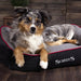 Scruffs® Beds Scruffs® Thermal Box Pet Bed