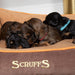 Scruffs® Beds Scruffs® Thermal Box Pet Bed