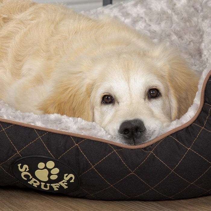 Scruffs® Beds Scruffs® Wilton Box Dog Bed