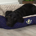 Scruffs® Beds Scruffs® Wilton Box Dog Bed