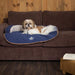 Scruffs® Beds Scruffs® Wilton Sofa Pet Bed