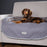Scruffs® Beds Scruffs® Wilton Sofa Pet Bed - Grey