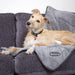 Scruffs® Blanket 100 x 72.5cm Scruffs Cosy Dog Blanket - Grey