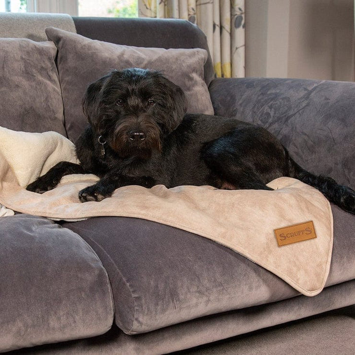 Scruffs® blanket 110 x 75 cm Kensington Dog Blanket - Cream