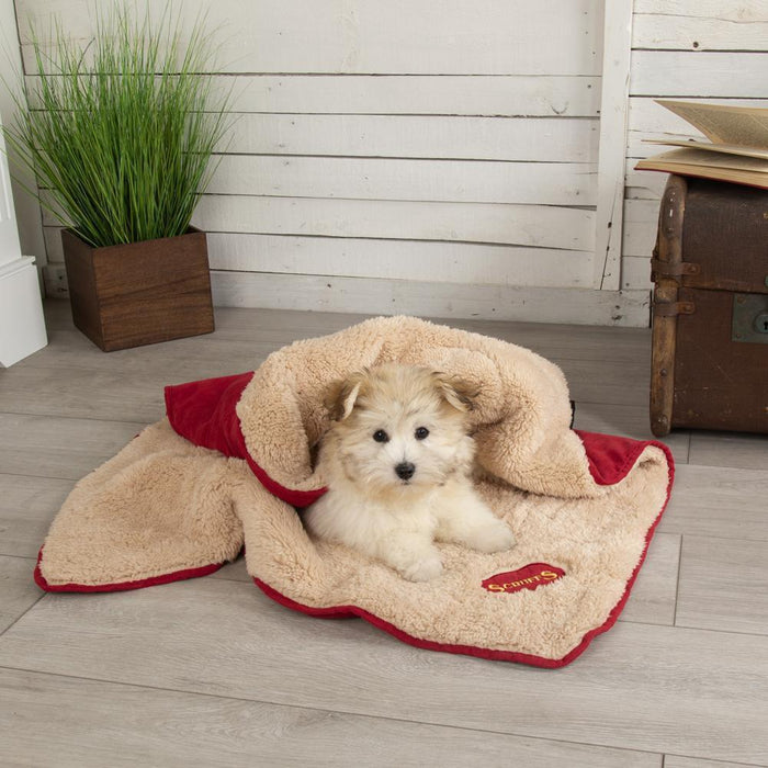 Scruffs® Blanket Scruffs® Snuggle Pet Blanket