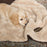 Scruffs® Blanket Scruffs® Snuggle Pet Blanket