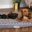 Scruffs® Dog Beds Scruffs Wilton Mattress - Grey