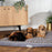 Scruffs® Dog Beds Scruffs Wilton Mattress - Grey