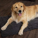 Scruffs® Mat Scruffs® Noodle Dry Mat